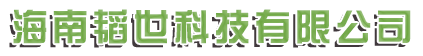 网站